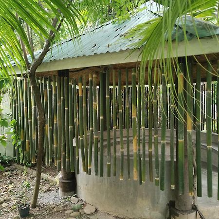 La Vida Hostel Samal Island Bagian luar foto