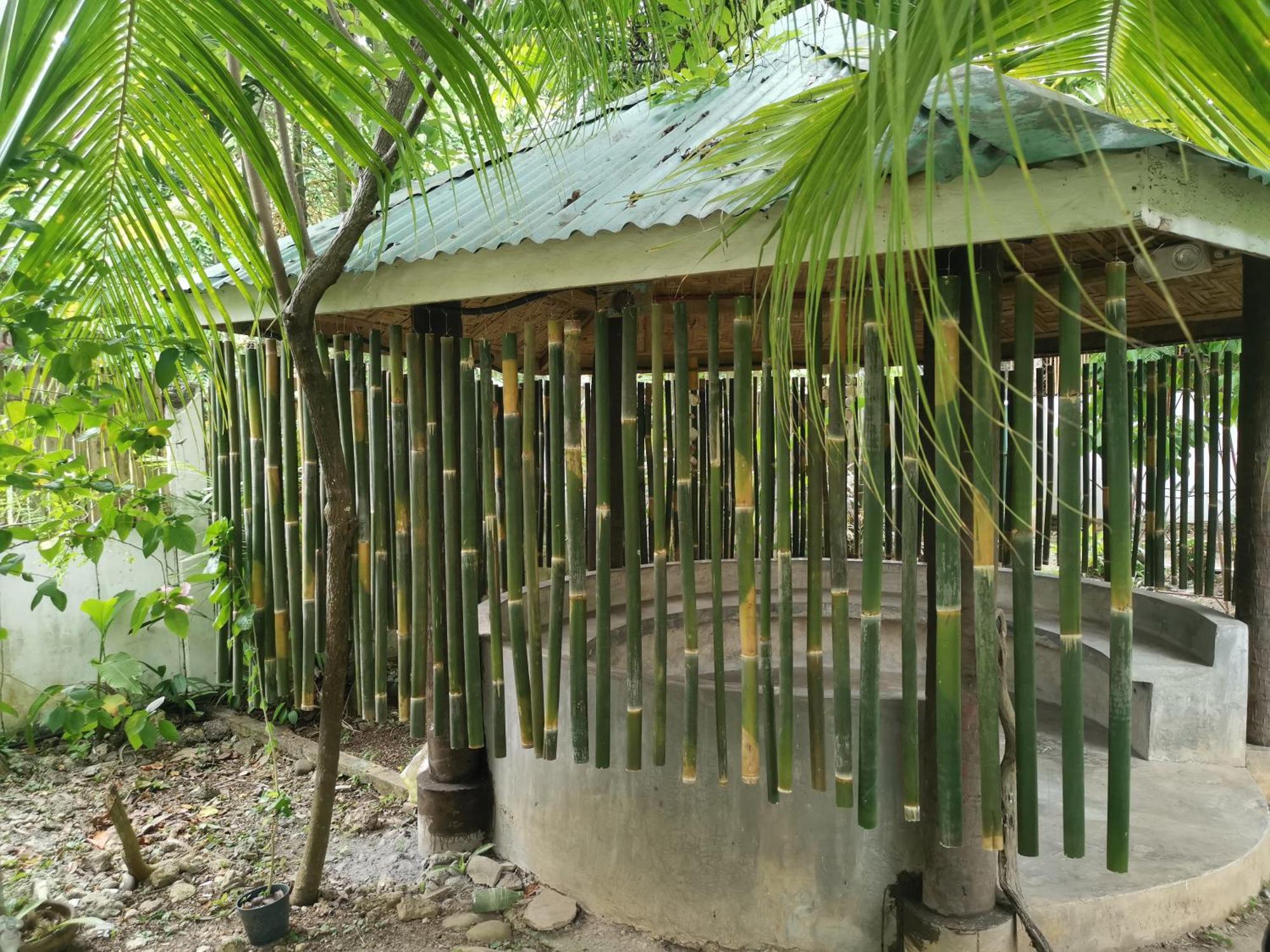 La Vida Hostel Samal Island Bagian luar foto